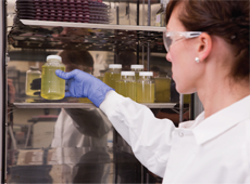 Pseudalert®250  24 小时检出瓶装水中的绿脓假单胞菌